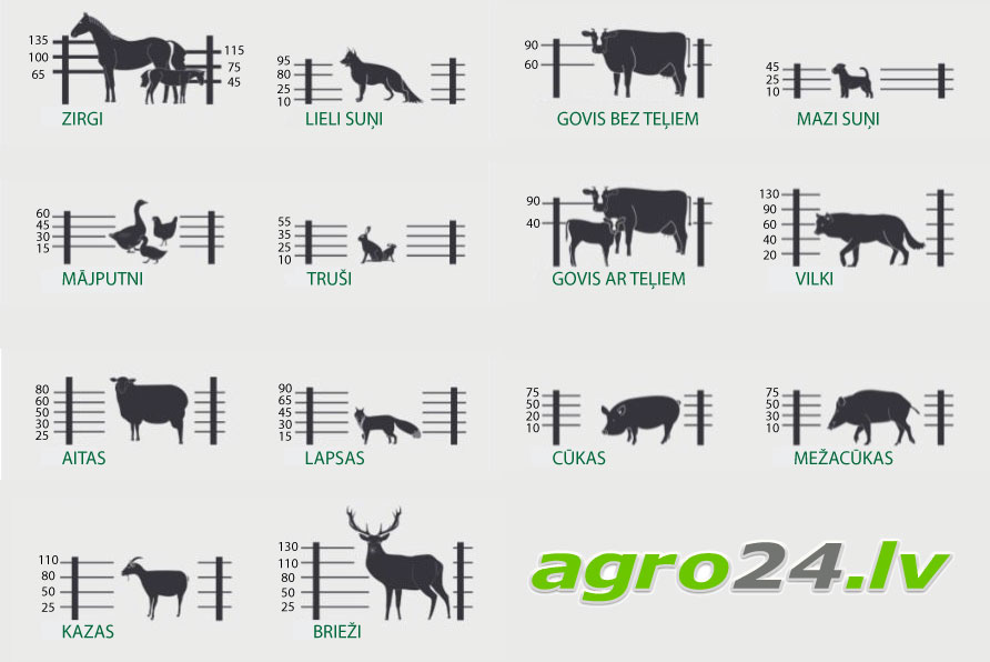 Elektriskā gana augstumi mājdzīvniekiem, un ne tikai. 